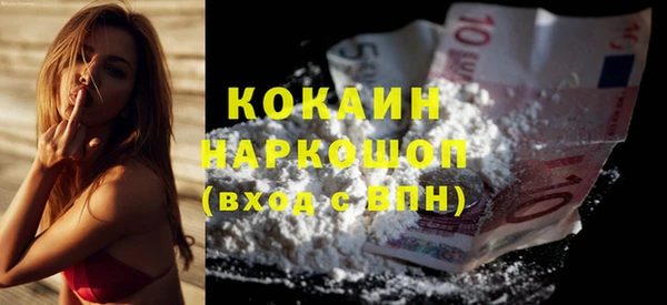 сатива Заволжье