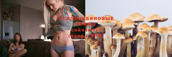 спайс Заволжск