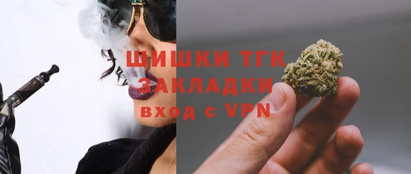 сатива Заволжье