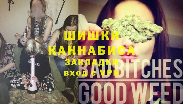 сатива Заволжье