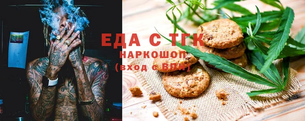 мдпв Ельня