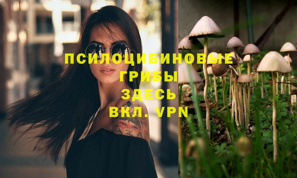 кокаин колумбия Заводоуковск