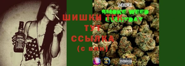 сатива Заволжье