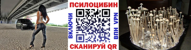 Псилоцибиновые грибы Psilocybine cubensis Купить Магас
